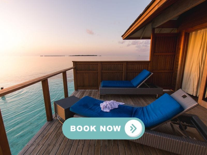 Why Every Holiday Accommodation Owner Needs a Website