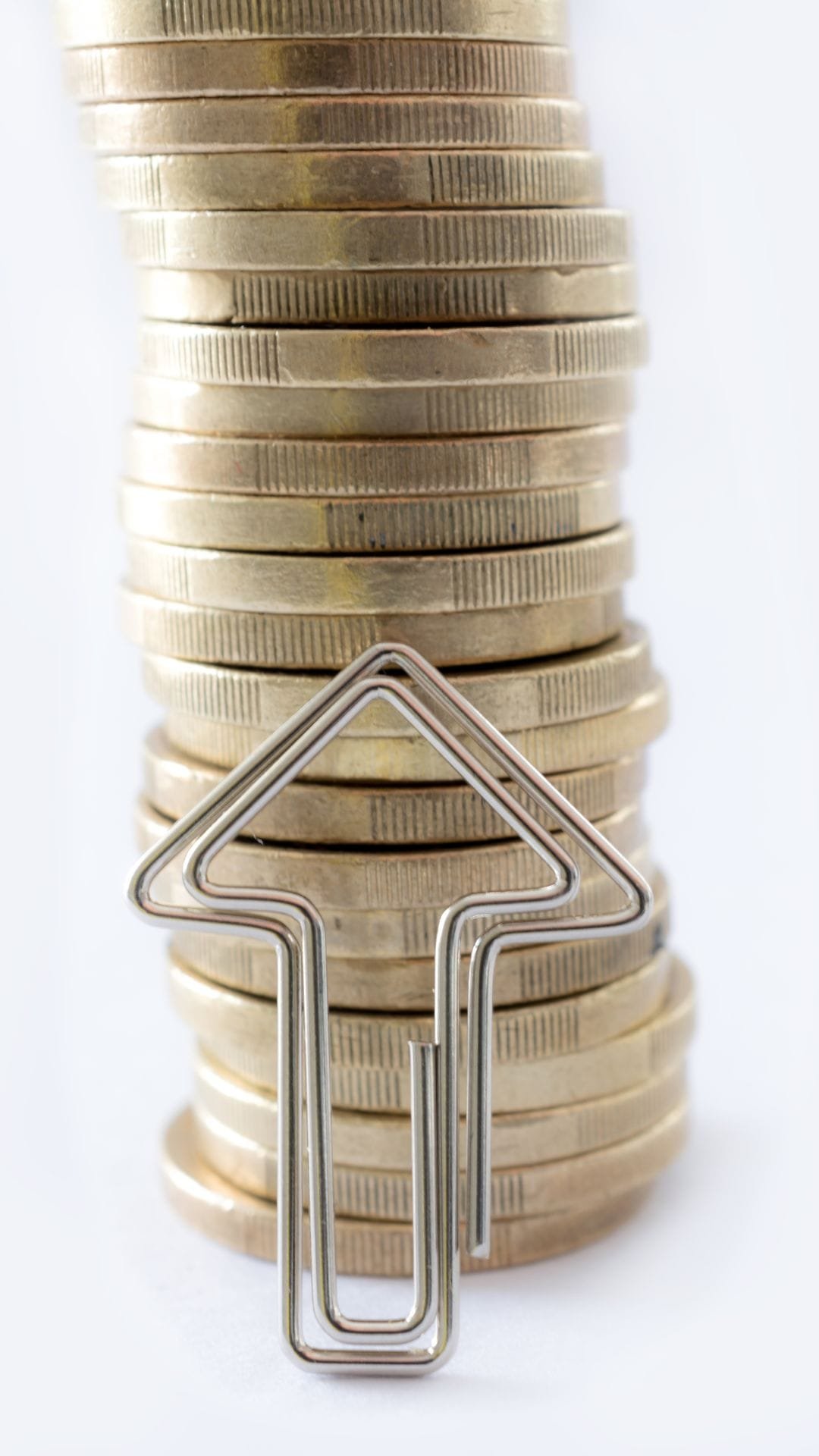 higher profit Have a website to optimize your online presence